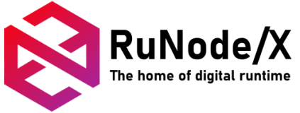 RunodeX - Your trusted IT Partner